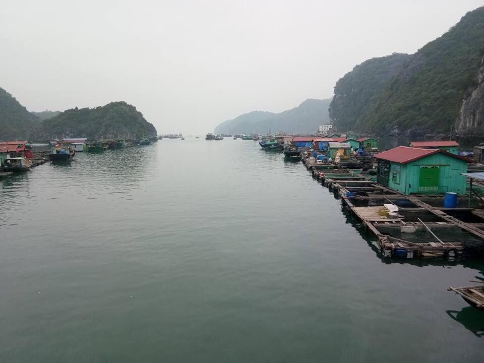 Cat Ba Daily Life Hotel Dong Khe Sau Exterior foto
